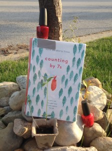 Counting by 7s written by Holly Goldberg Sloan
